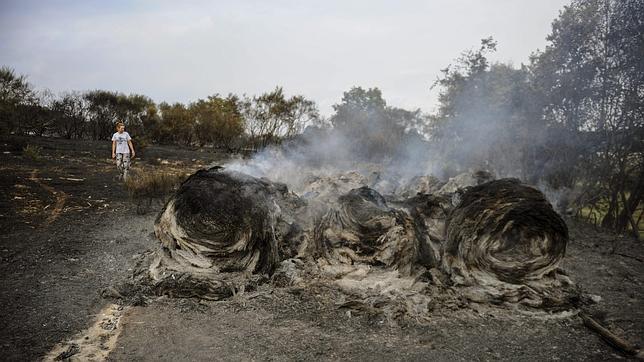 Denuncian que en el incendio de Cualedro se encontraron siete artefactos explosivos