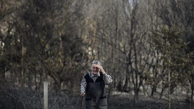 Cifran en 50 millones de euros los daños por el incendio de Cualedro