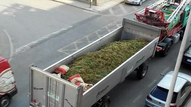 La marihuana transportada por las calles de Villarrobledo tras su incautación