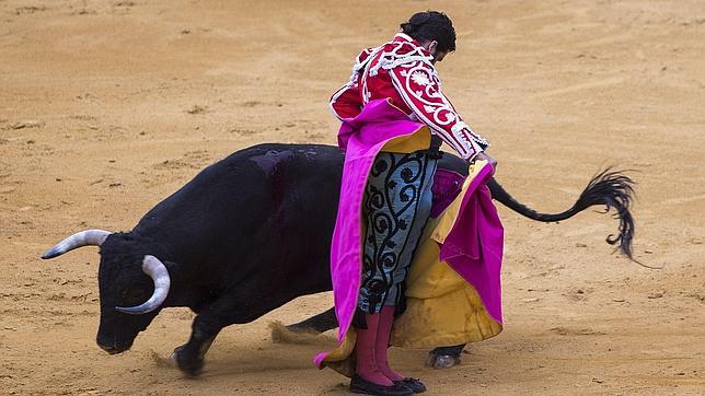 Morante, por chicuelinas en Ronda con su terno bicolor