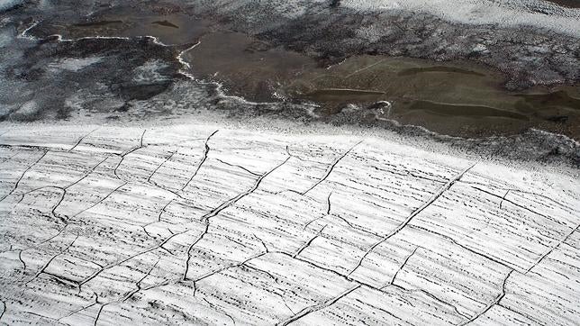 Descubren un nuevo virus gigante de más de 30.000 años en Siberia