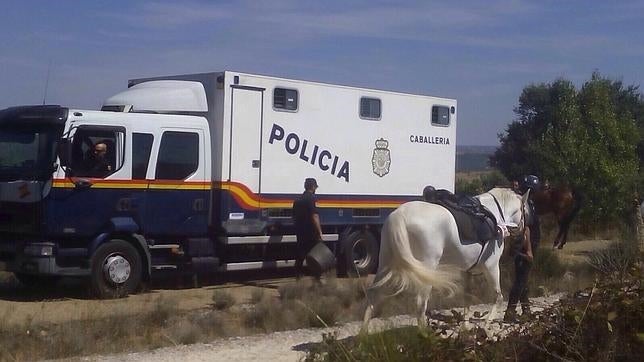 Hallan el cadáver de la peregrina americana desaparecida en el Camino de Santiago