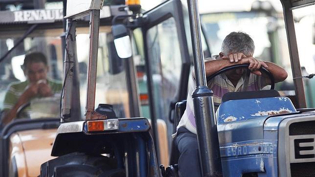 Los implicados en la crisis del lácteo responden