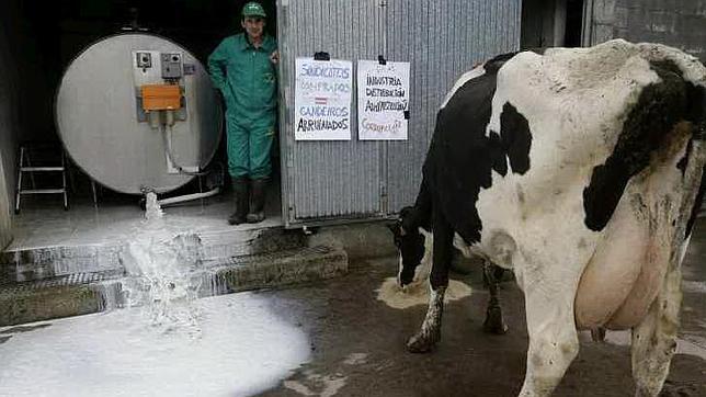 El Magrama inicia una campaña de promoción para fomentar el consumo de la leche