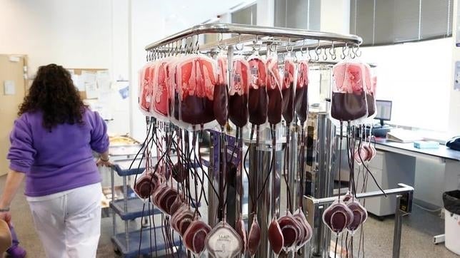 Argentina levanta las restricciones a los homosexuales que donan sangre