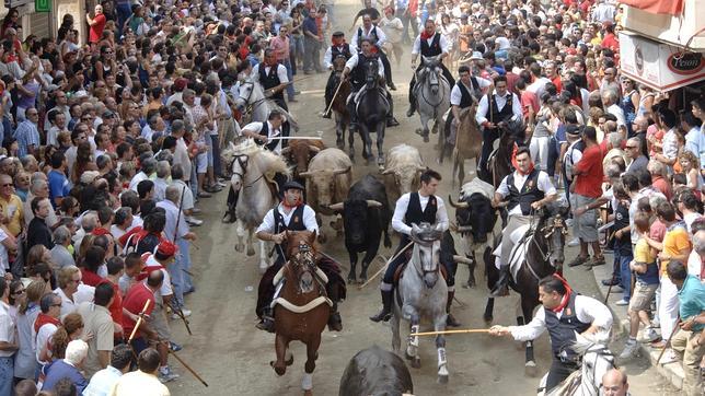 Muere un caballo que fue corneado por un toro en las fiestas de Segorbe