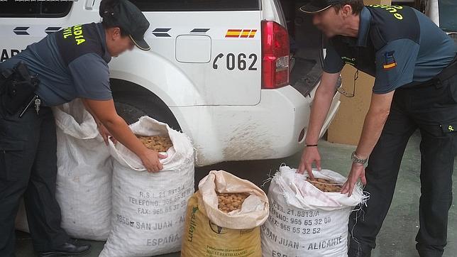 Cae una banda que robó 36.000 kilos de almendras y algarrobas en Valencia