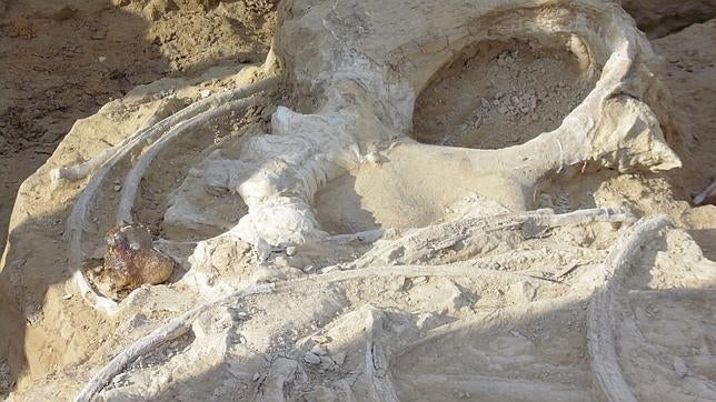 En busca de dinosaurios por La Rioja