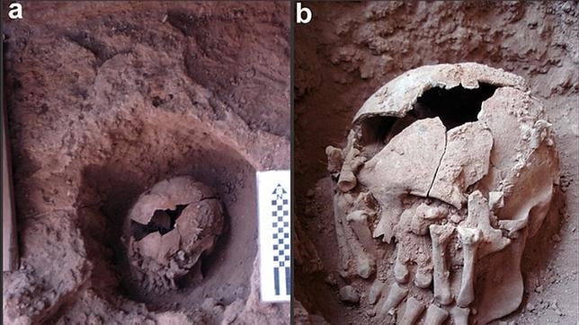 Hallan en Brasil el caso de decapitación más antiguo de América, de 9.500 años