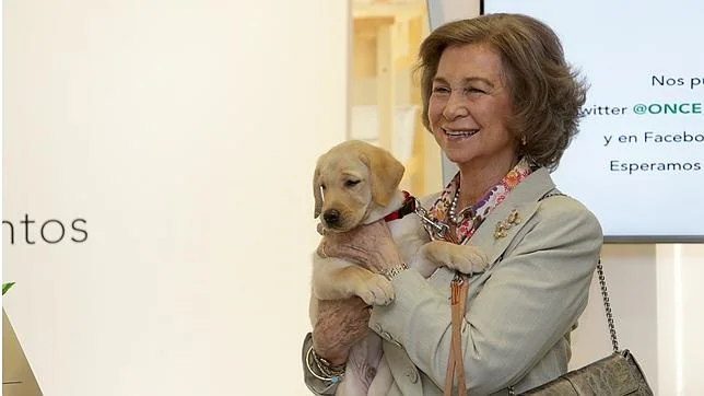 La Reina Sofía preside el 25 aniversario de la Fundación ONCE del Perro Guía