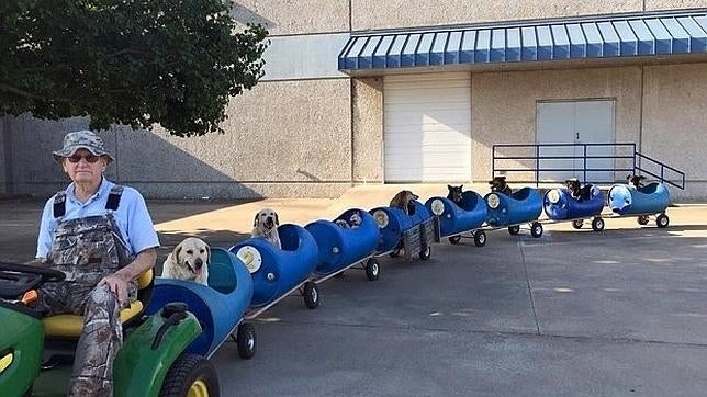 Un jubilado construye un tren para sus ocho perros adoptados