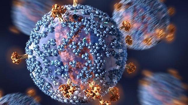 Descubren dos proteínas claves en el proceso infectivo del virus del sida