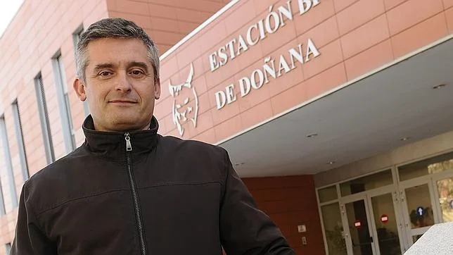 Juan José Negro, director de la Estación Biológica de Doñana (EBD), organismo del CSIC fundador de este espacio protegido hace ahora medio siglo, en una imagen de archivo