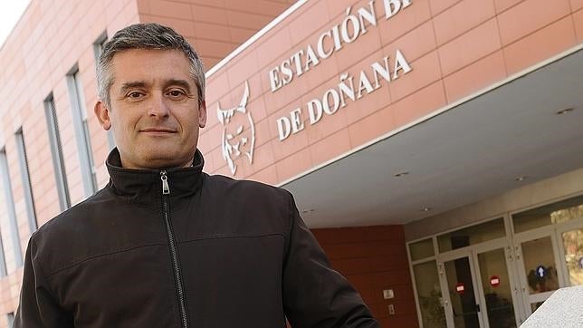 El CSIC destituye al director de la Estación Biológica de Doñana, que dice ignorar el motivo