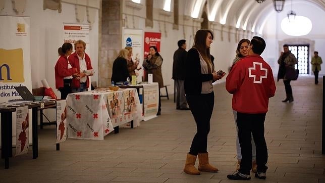 Los condenados por terrorismo o maltrato no podrán ejercer el voluntariado