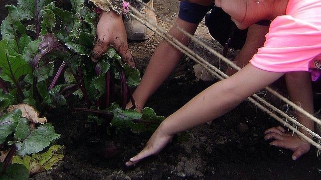 Nepal consagra el derecho a la alimentación en su nueva Constitución