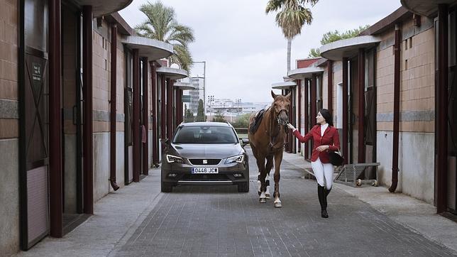 Vídeo: ¿Quién gana, caballo o ‘león’?