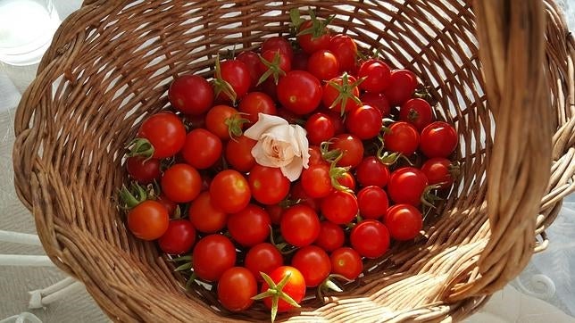 ¿Mejora la salud la comida ecológica?