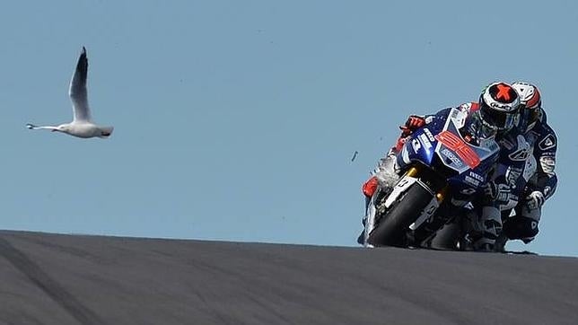 Jorge Lorenzo, en el Gran Premio de Australia de 2013
