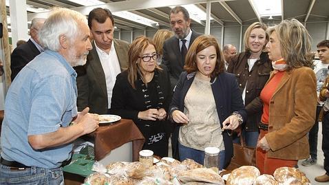 Tritordeum, el nuevo cereal ecológico de moda bajo en gluten