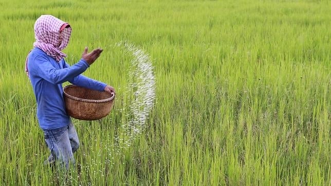 El 0,1% del PIB mundial bastaría para acabar con el hambre en el mundo