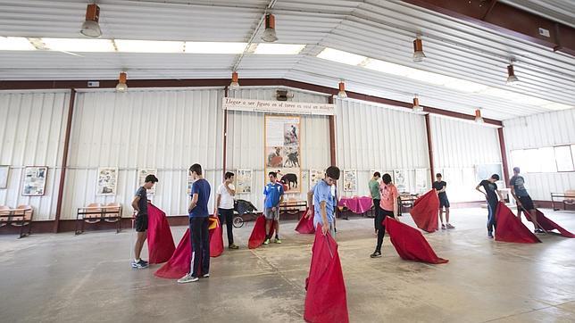 El Ministerio de Educación creará un título de Tauromaquia para la FP básica