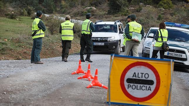 Micocyl establecerá controles de acceso a los montes de Soria para controlar la recogida de setas