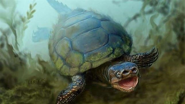 Descubren una extraña especie extinta de tortuga con nariz de cerdo