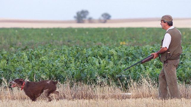 Cazadores y ecologistas fijan posiciones para modificar la Ley de Caza