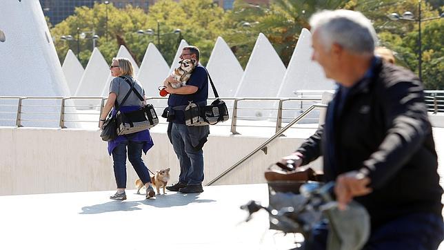 La ecotasa turística pone en pie de guerra a la oposición y al sector hotelero valenciano