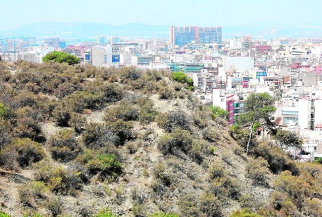 La sequía abrasa la pinada del Castillo de Santa Bárbara