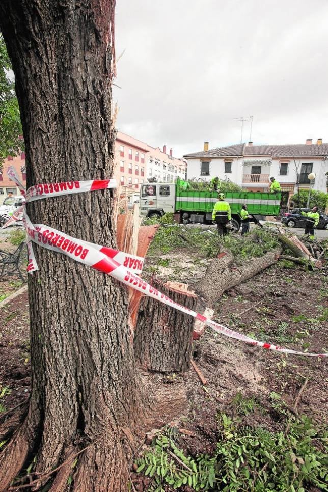 El temporal de lluvia y viento provoca más de 50 incidencias