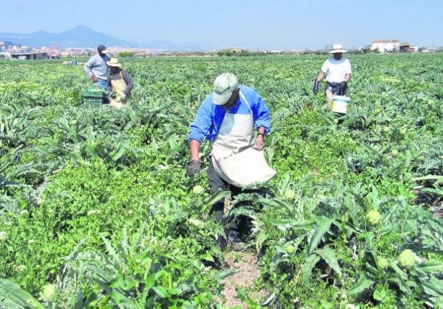 Hacienda pide a los agricultores el IVA por las ayudas europeas