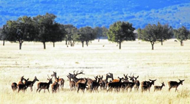 La fuerza de un ecosistema