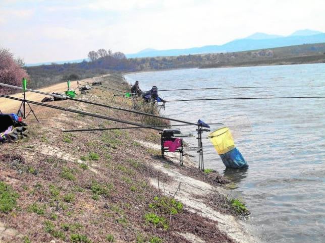 Campeonato de pesca en el Canal de Castrejón