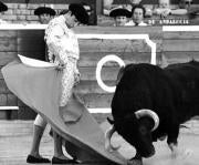La presencia de las figuras vuelve a dar realce a la Feria de Colombinas
