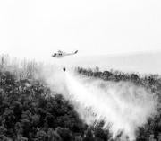 El fiscal aplazó la comparecencia del acusado por el incendio de Cazorla