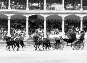 Una carretela de Gregorio Aranda, campeón de campeones en la exhibición de Ronda