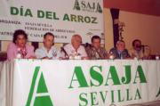 La reactivación de la OCM del arroz, prioridad política para la Presidencia española de la UE