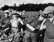 Francia, Holanda y Alemania, principales destinos para los emigrantes jerezanos en busca de trabajo