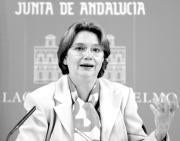 Críticas generalizadas al archivo de los robos de los sumarios de Marbella