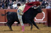 Un solo toro no redime el pobre regreso de Cuadri a Sevilla