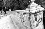 «Pasear por Sevilla era una delicia, ahora la están convirtiendo en una cuadra»