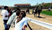 «Receivedwiththanx» puede poner el espectáculo en Dos Hermanas