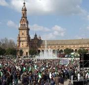 Miles de algodoneros se manifiestan en Sevilla contra la reforma del sector prevista en la UE