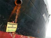 Activistas de Greenpeace abordan un buque cargado de soja en el puerto de Málaga