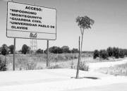 Dos Hermanas: Más de veinte millones de euros para conectar el Arco Norte con la UPO