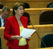 El alcalde pide al Gobierno la apertura nocturna del aeropuerto de San Pablo