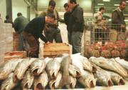 Los mayoristas no comercializarán pescado el martes en Mercasevilla