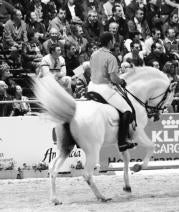 Cita social al amparo del caballo